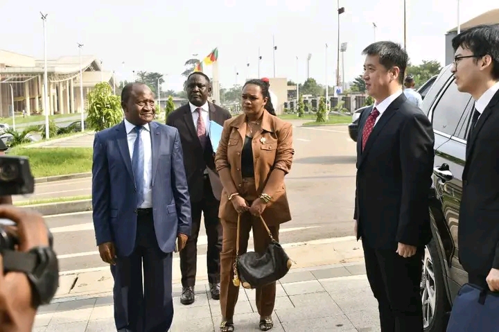Assemblée nationale du Cameroun : le Groupe d’Amitié Chine–Cameroun ...